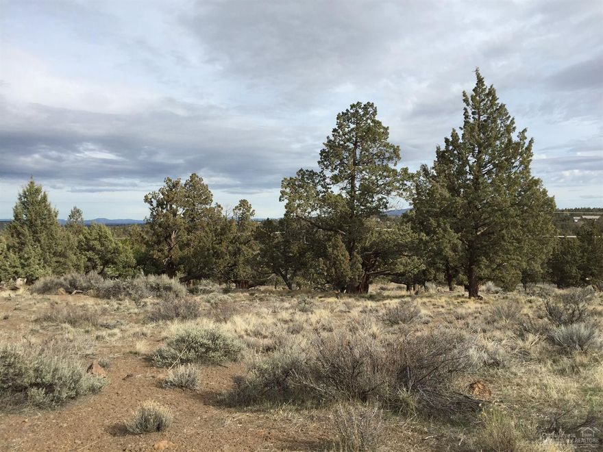 Perfect spot to build your dream home in the desirable Eagle Crest Resort community, .32 acres located on a cul-de-sac with beautiful views. Home site is next to a bike path and park. Resort amenities include 3 18-hole golf courses, tennis, fitness centers, pool, and miles of hiking trails. An ideal home base for enjoying Central Oregon: skiing, fishing, horseback riding, mountain biking, rock climbing, white water rafting, paddle boarding, etc. Seller is a licensed broker in Oregon.