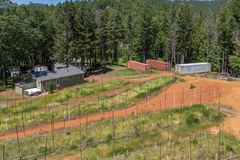 Tiny photo for 1801 Holton Creek Road, Cave Junction, OR 97523 (MLS # 220221212)