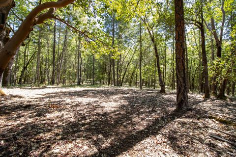 Tiny photo for 1801 Holton Creek Road, Cave Junction, OR 97523 (MLS # 220221212)