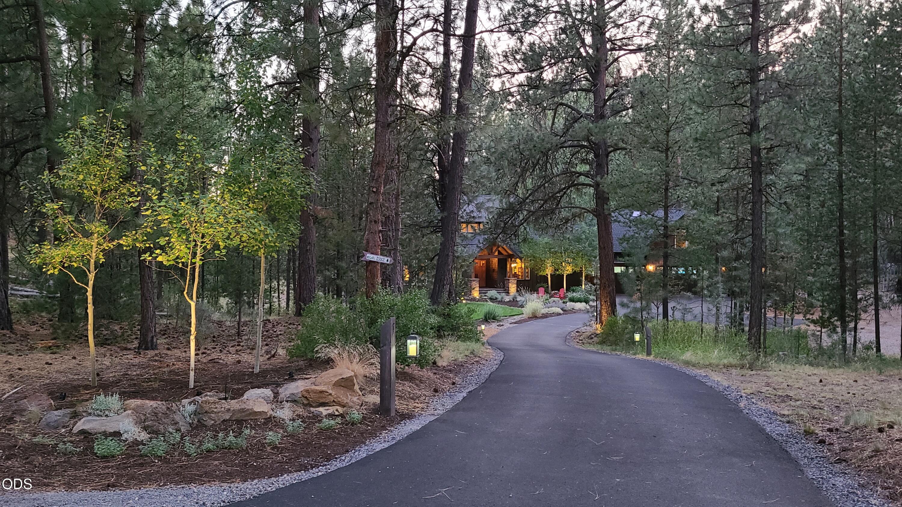 54937 Forest Lane