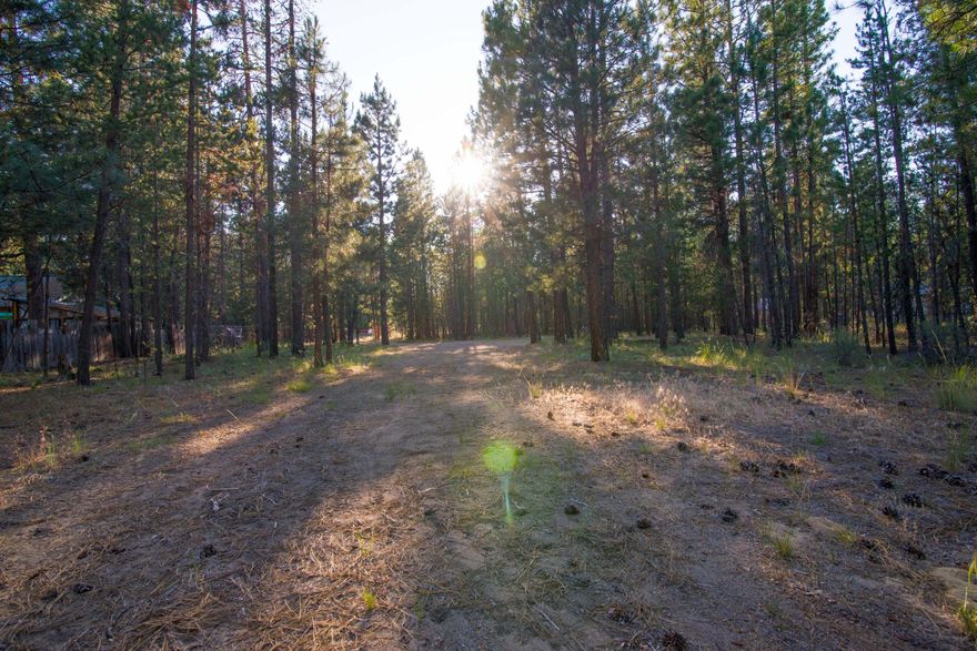 This 1.84-acre lot offers the perfect blend of privacy and natural beauty, backing up to a vast 3,677.33-acre expanse of BLM land, w/septic in place. Enjoy the serenity of mature Ponderosa pine trees that frame the property, providing a peaceful, forested backdrop. With a driveway already in place & fencing on three sides, this lot is ready for you to build your dream home. Located in a quiet, friendly neighborhood, you'll relish the serenity & seclusion while still being conveniently close to local amenities. Don't miss this rare opportunity to own a piece of paradise! Contact your Realtor for info on the Seller financing option!!