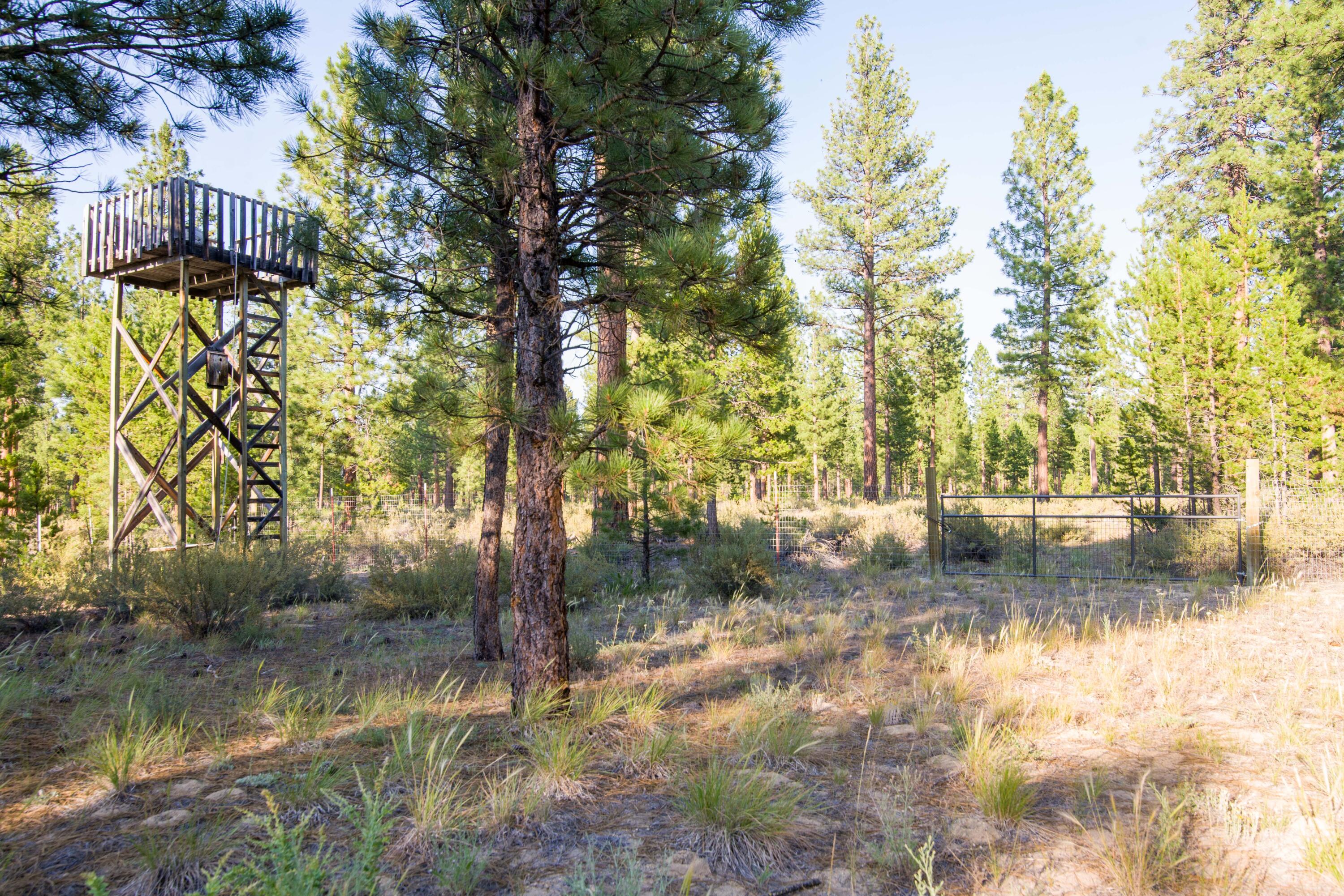 Deer Forest Acres - Land