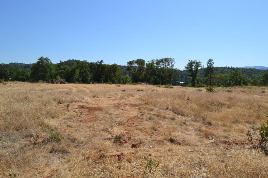 Beautiful 5+ acre parcel just one mile from Merlin and minutes to the I-5 on-ramp. This open, mostly level property is ringed with trees and offers great views in a peaceful setting. A rare opportunity to own usable land at a price well below tax-assessed value. Don't miss this chance to build or invest affordably in a prime location.