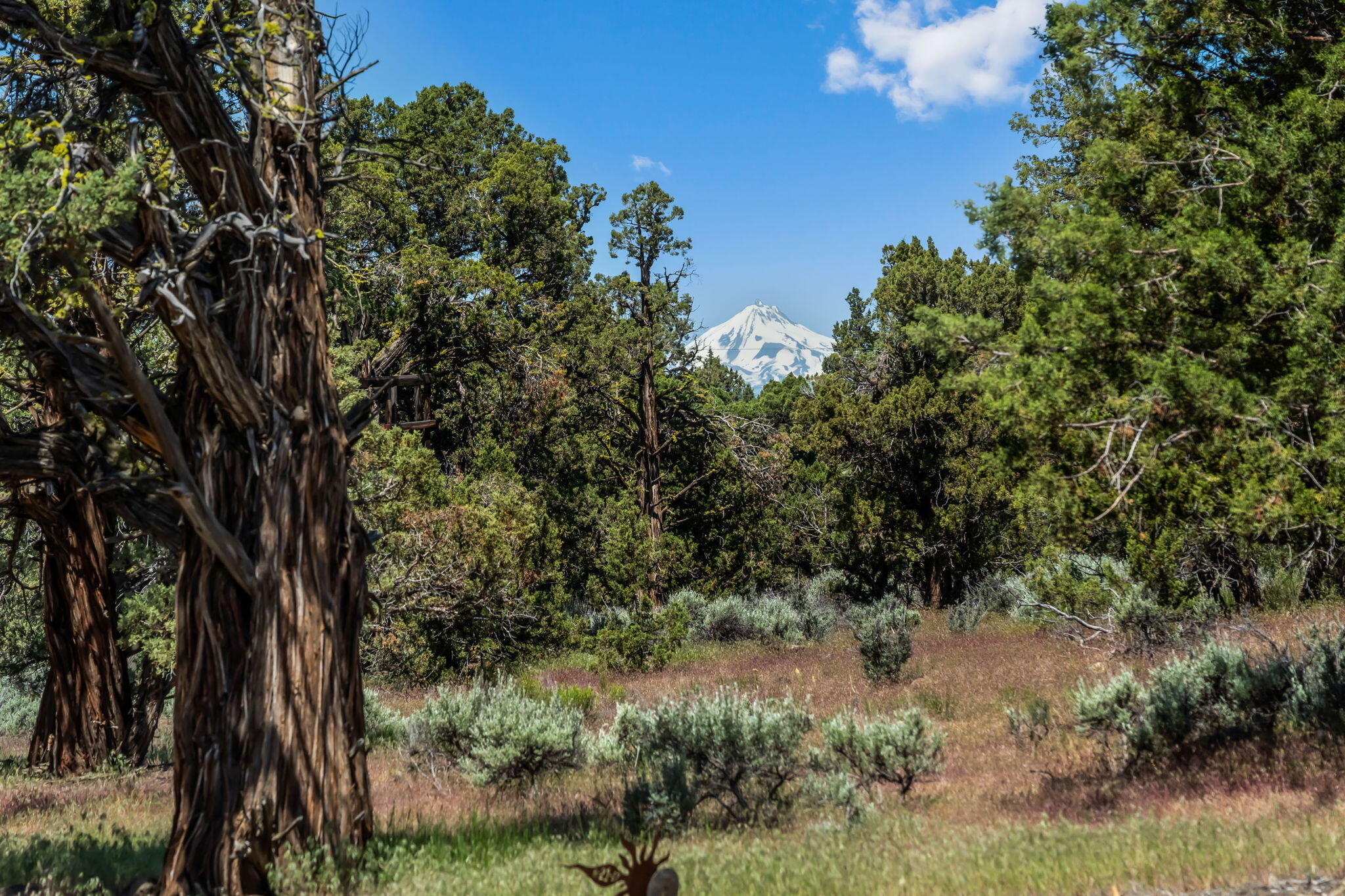 Crestridge Estate - Residential