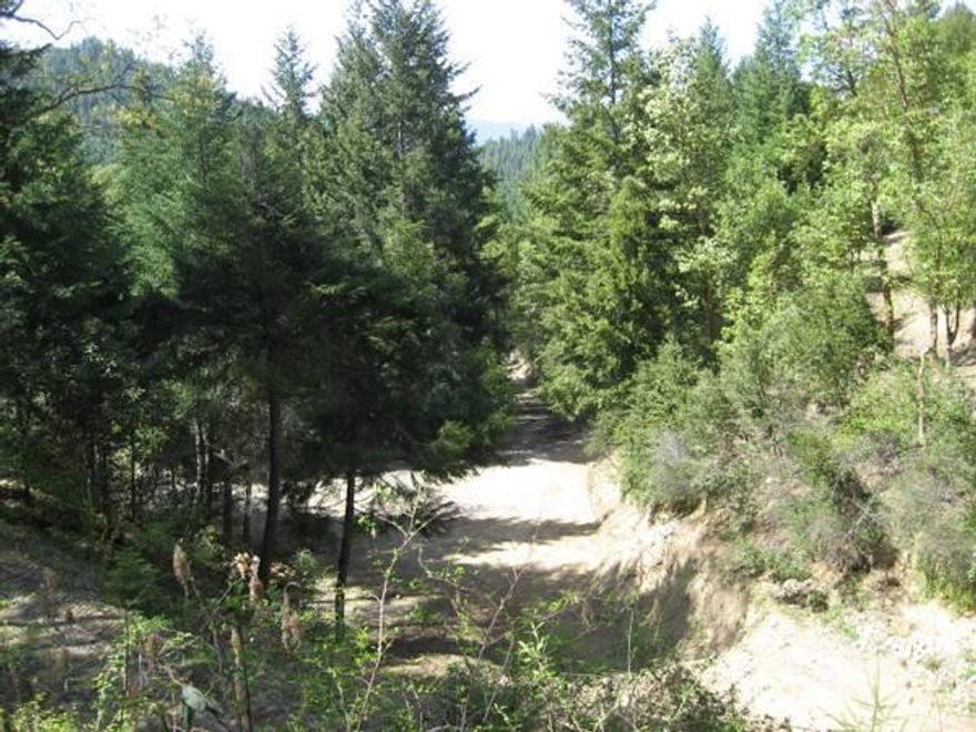 Secluded & Unique Applegate! 23+ private acres 9 miles from the Applegate River and store. Partially developed with a 2 bedroom septic (1000 gal tank), strong well, 125 amp electrical service, roads and multiple pads for camping or future developing. Unique non-conforming building with multiple rooms sets above the trees. Trails througout property and BLM border for even more exploration. This property is very private with mountain views and nice hillside forest land. Perfect for getting away from it all!