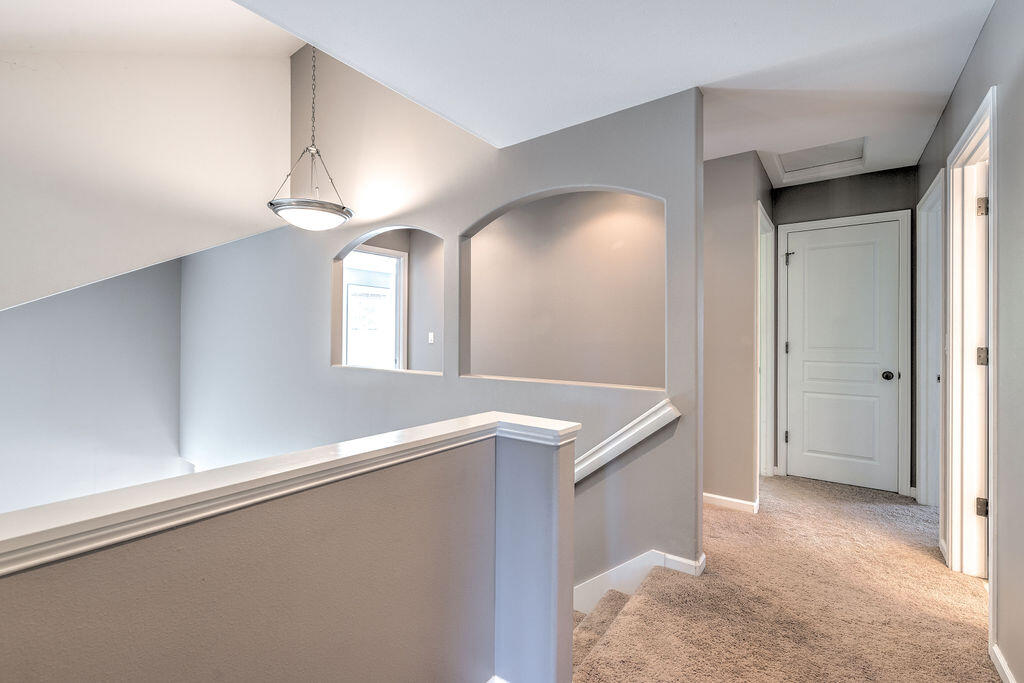 Oak Tree - Residential