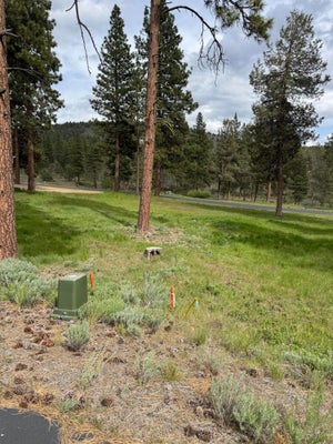1075 TIMBER RIDGE LOOP, KLAMATH FALLS, OR 97601 - Image a366ddbff14c752fb75106922b231a37/3480261165