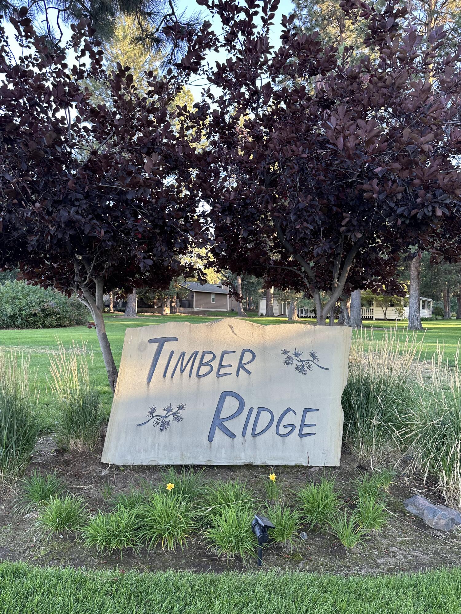 Timber Ridge - Land
