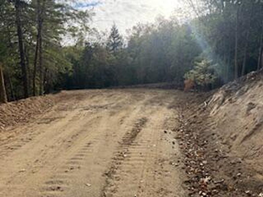 Country Living at Its Best - Build Your Dream Home Here If you've been dreaming of wide-open spaces, fresh country air, and a place to truly call your own, these beautiful lots are ready and waiting for you. Property Highlights: Wells Included: Wells will be drilled and capped by the seller on each lot. Septic Included: A 1,000-gallon standard septic system will be installed within 90 days after closing or the buyer will receive a $10,000 credit. Power: Electricity is available right at the property line. Building Requirements: CCRs require a minimum 1,800 sq. ft. home — but no HOA and no monthly fees. Buyer to Complete: Installation of the well pump, pressure tank, wiring, and plumbing from the well to the home. Additional Information: All information is deemed reliable but not guaranteed and is subject to change. Buyers are encouraged to conduct their own due diligence. These spacious country lots offer the perfect blend of peace, privacy, and potential.