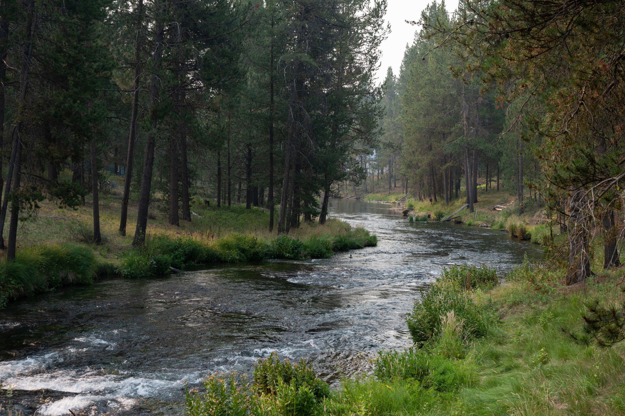 Fall River Estate - Residential