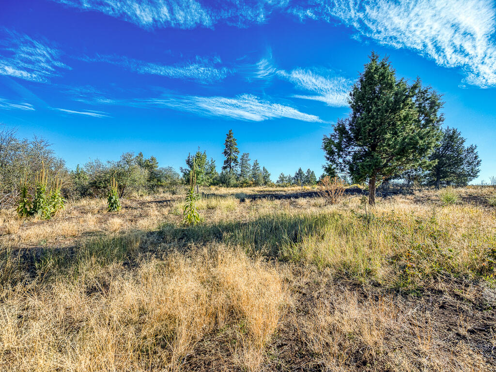 Ridgewater Subdivision -Phase 1 - Land