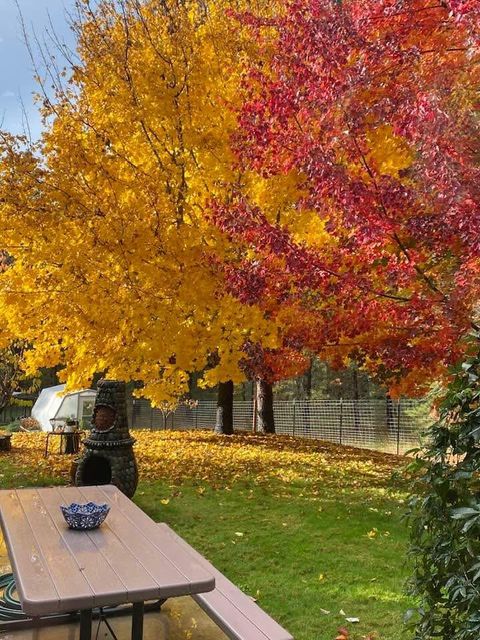 Tiny photo for 916 Ferry Road, Grants Pass, OR 97526 (MLS # 220217627)