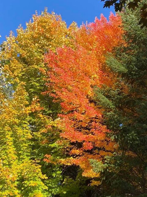 Tiny photo for 916 Ferry Road, Grants Pass, OR 97526 (MLS # 220217627)