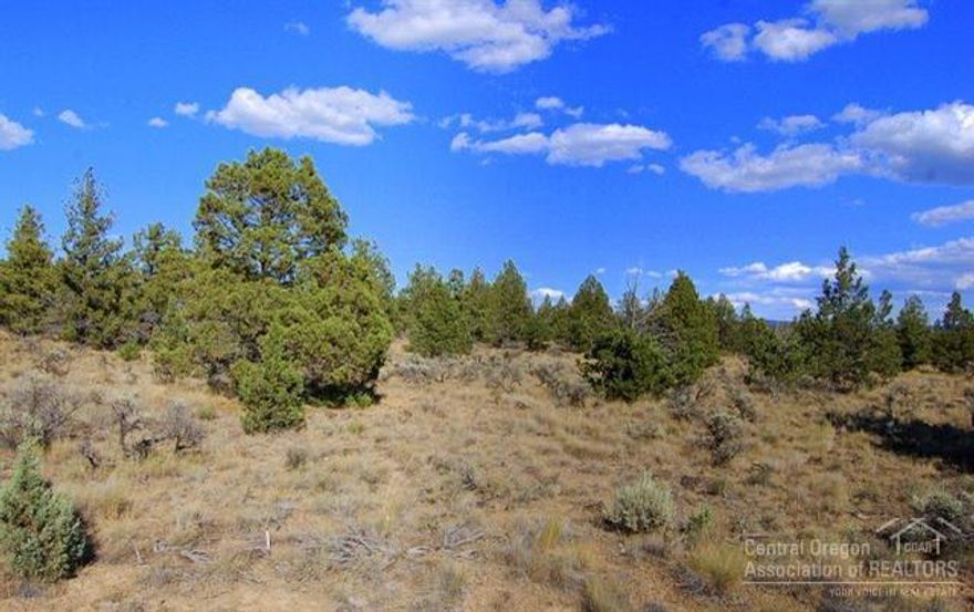 Nice 4.3 acre parcel in rural setting. Flat, well treed with easy access and lots of privacy. Multiple building sites. Needs septic feasibility. Some Cascade views from property.