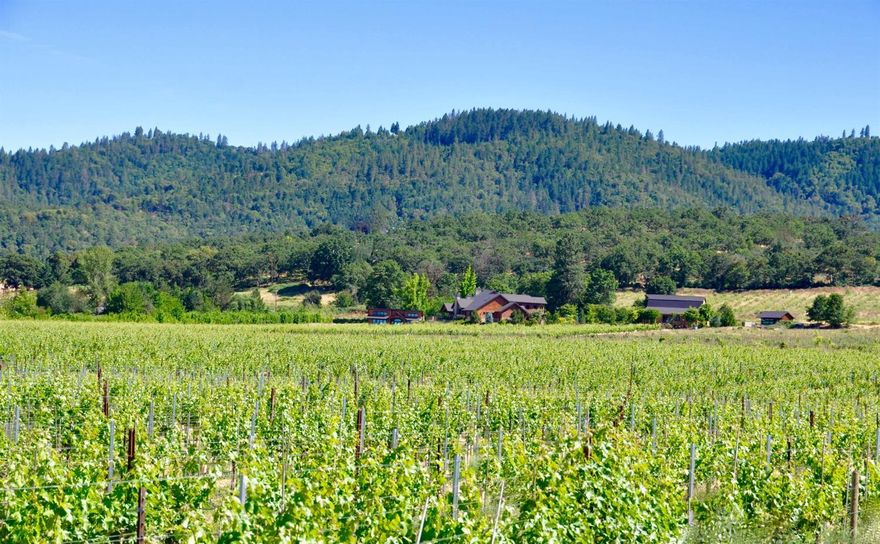 Exquisite vineyard estate, every detail a reflection of dedication to quality & beauty. Adjacent to the elegant home with its pool, exercise facility & theater is the masterfully restored historic barn with full kitchen, conference room, offices & full bath, surrounded by antiques & fine furnishings which have been carefully selected for the estate & may be negotiated with the purchase. Ideal for the buyer seeking a resort-like setting in which to live & work without having to leave the estate. 1.5 miles to Jacksonville! 136+/- acres with 90+/- acres of commercial vineyard in production & under contract thru 2021. Water rights pump stations, olive grove, approved plans for winery & wine cave. Along with its quality & beauty, the location makes this property an iconic estate ready for a buyer wishing to develop one of the largest contiguous vineyards in the valley.Seller willing to lease-back with very desirable terms to investor or 1031 exchange buyer.