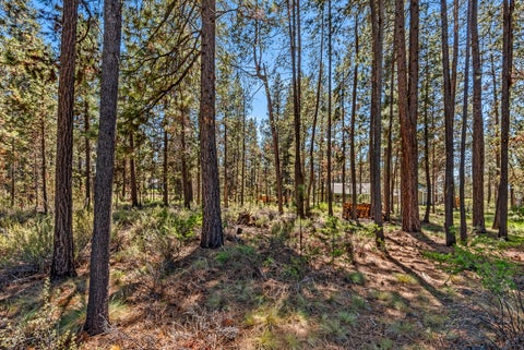 Tiny photo for 53730 Otter Drive, La Pine, OR 97739 (MLS # 220222111)