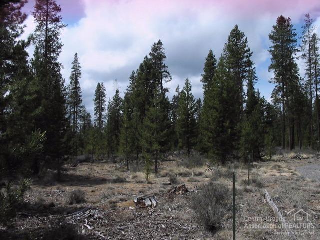 Sun Forest Estates - Land