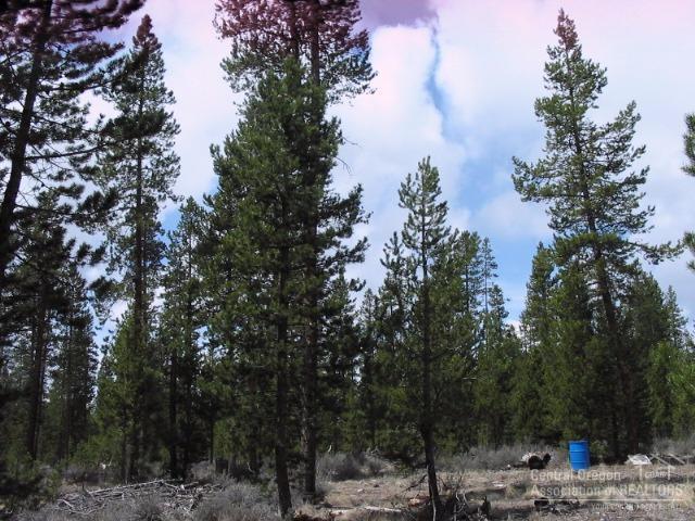 Sun Forest Estates - Land