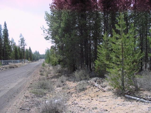 Sun Forest Estates - Land