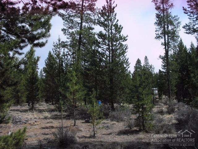 Sun Forest Estates - Land