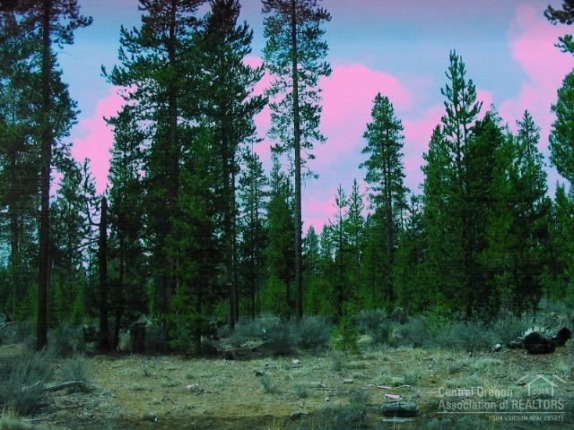 Sun Forest Estates - Land