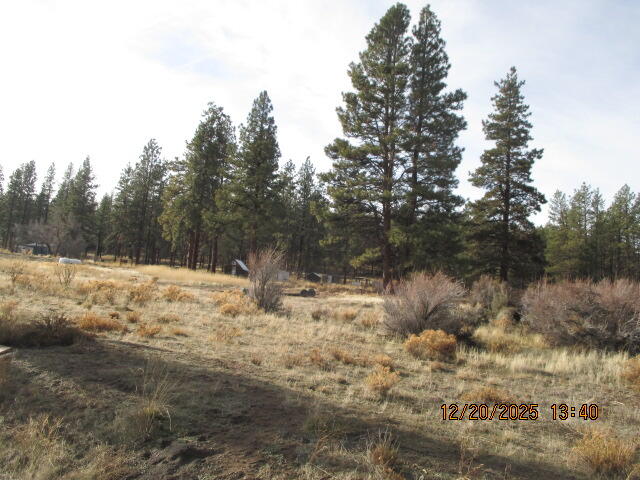 Klamath Falls Forest Estates -Hwy 66 Unit -Plat No. 2 - Land