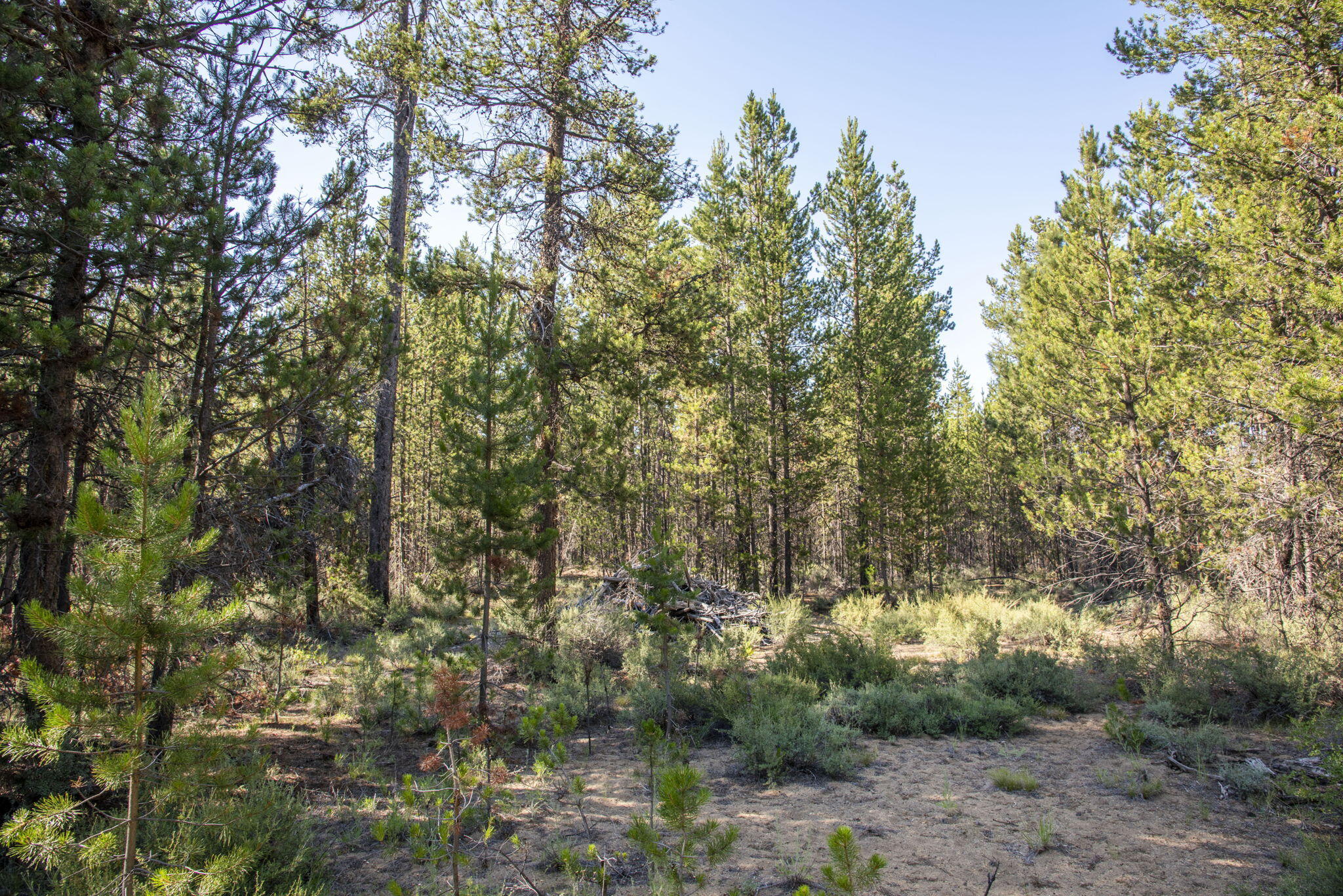 Parkway Acres - Residential