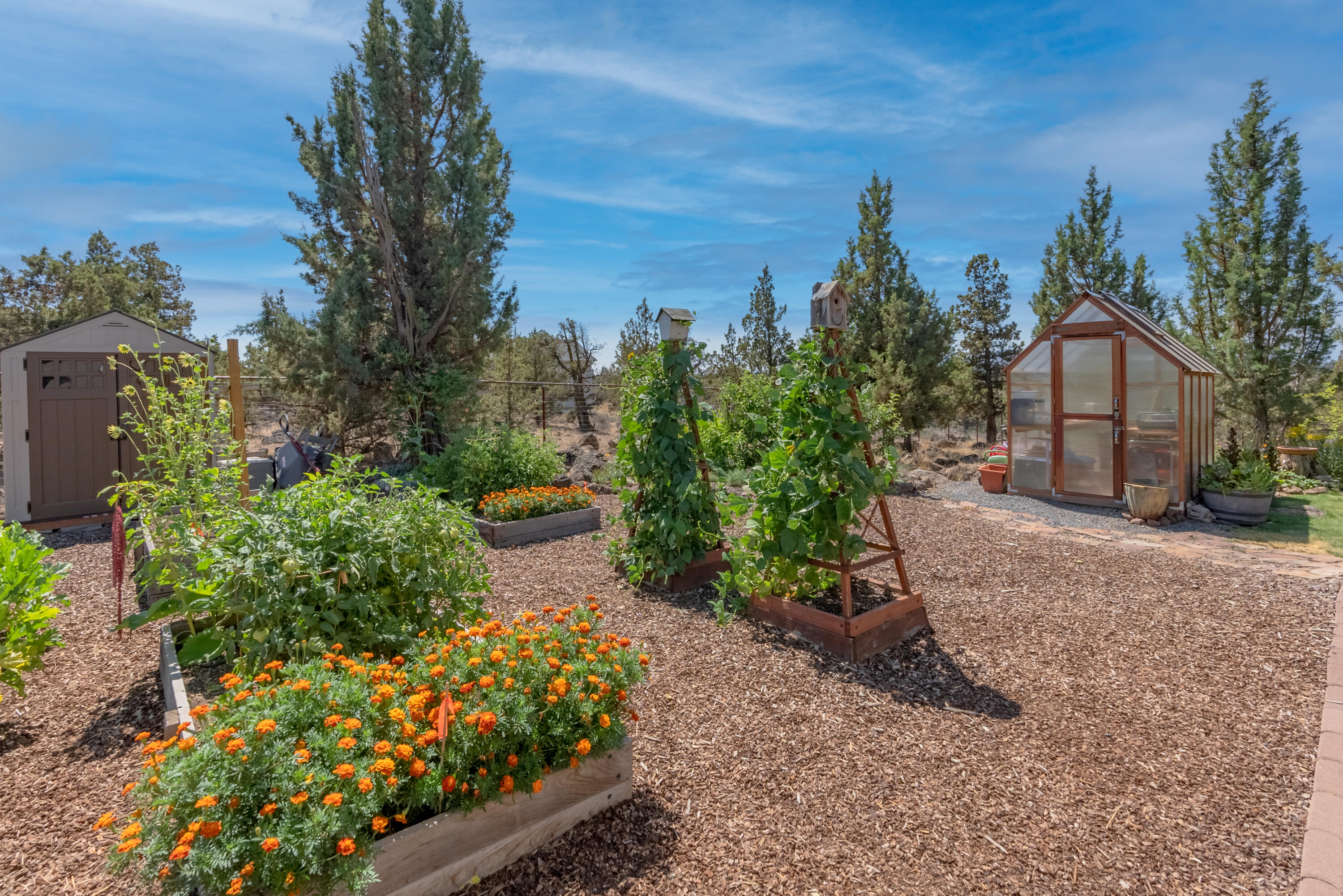 Canyon Ranch Estate - Residential