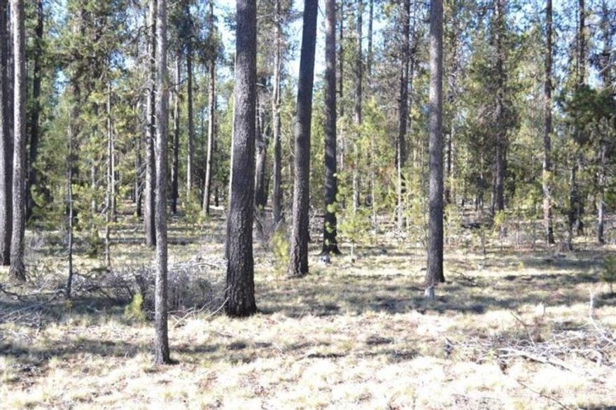 Fantastic Crosswater home site opportunity! This is the closest lot to the par 3, 13th hole and the famed Bald Eagle Nest. If you like your privacy, the large common area to the east means that there won't be neighbors on either side. Crosswater is the Northwest's premiere gated golf community with a pool, tennis courts, and workout room. The Crosswater Club has both golf and social memberships available. Lot purchase includes Crosswater Club Resident Membership.