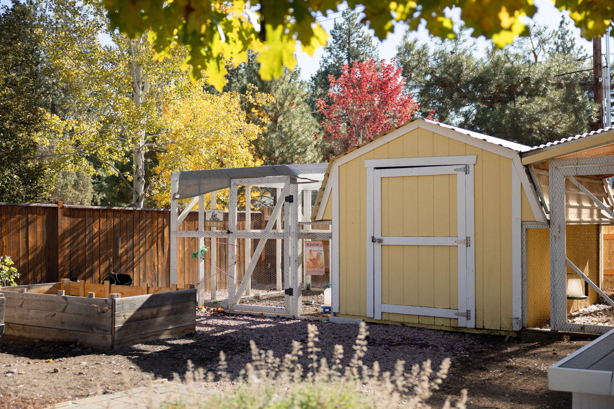 Rolling Horse Meadow - Residential