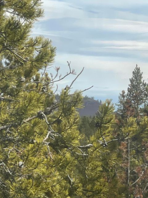 Tiny photo for 57624 Red Alder Lane #7, Sunriver, OR 97707 (MLS # 220217108)