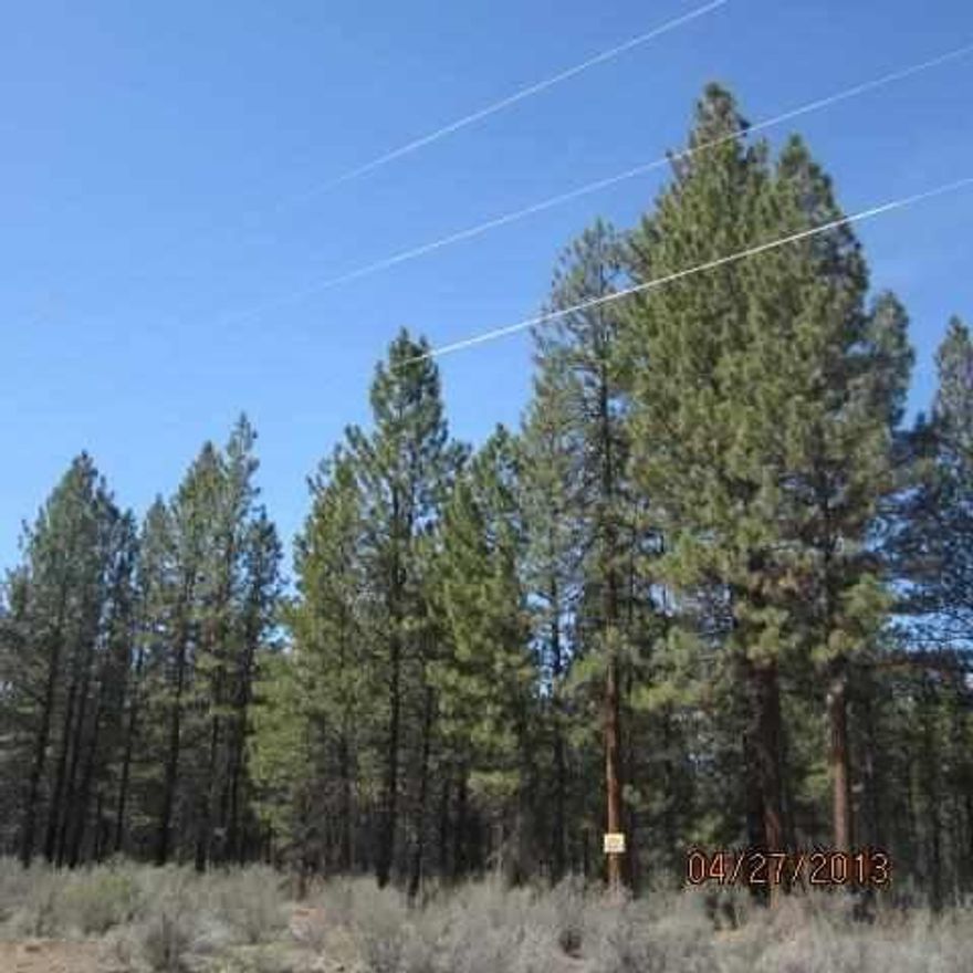 This Sparsely Populated Area Is Great For A Vacation Home Or Year Round Living. Approximately One Hour To Klamath Falls. Located Near Hunting, Fishing And Forest Service Land.