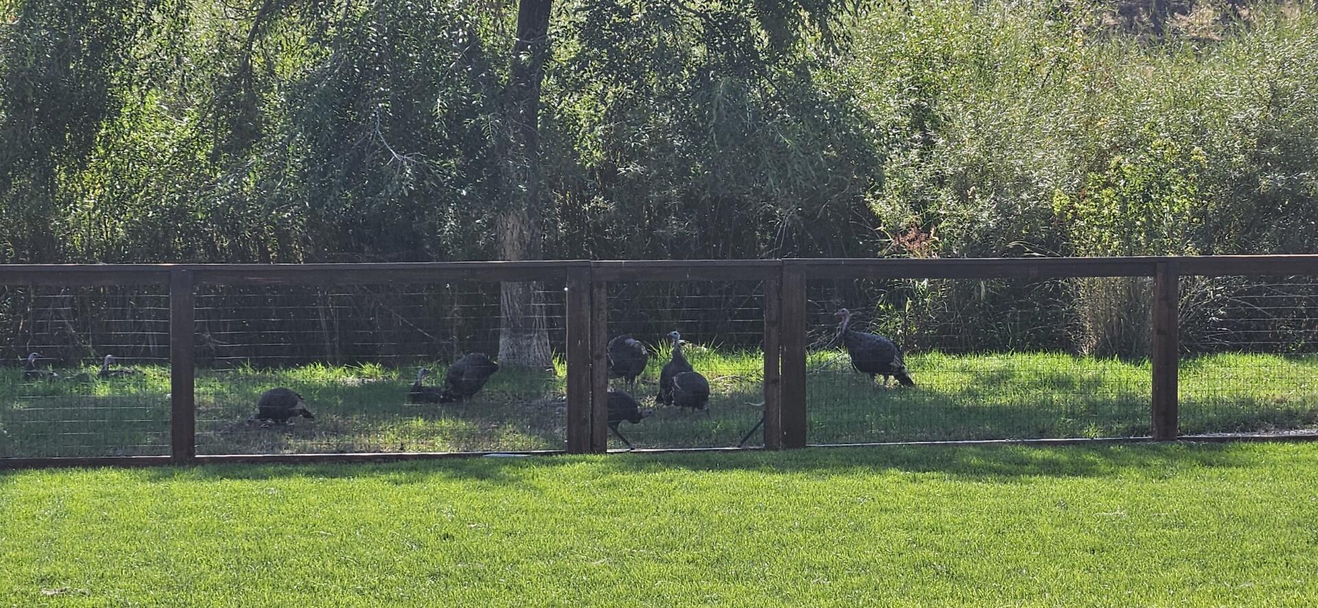 Crystal Springs - Residential