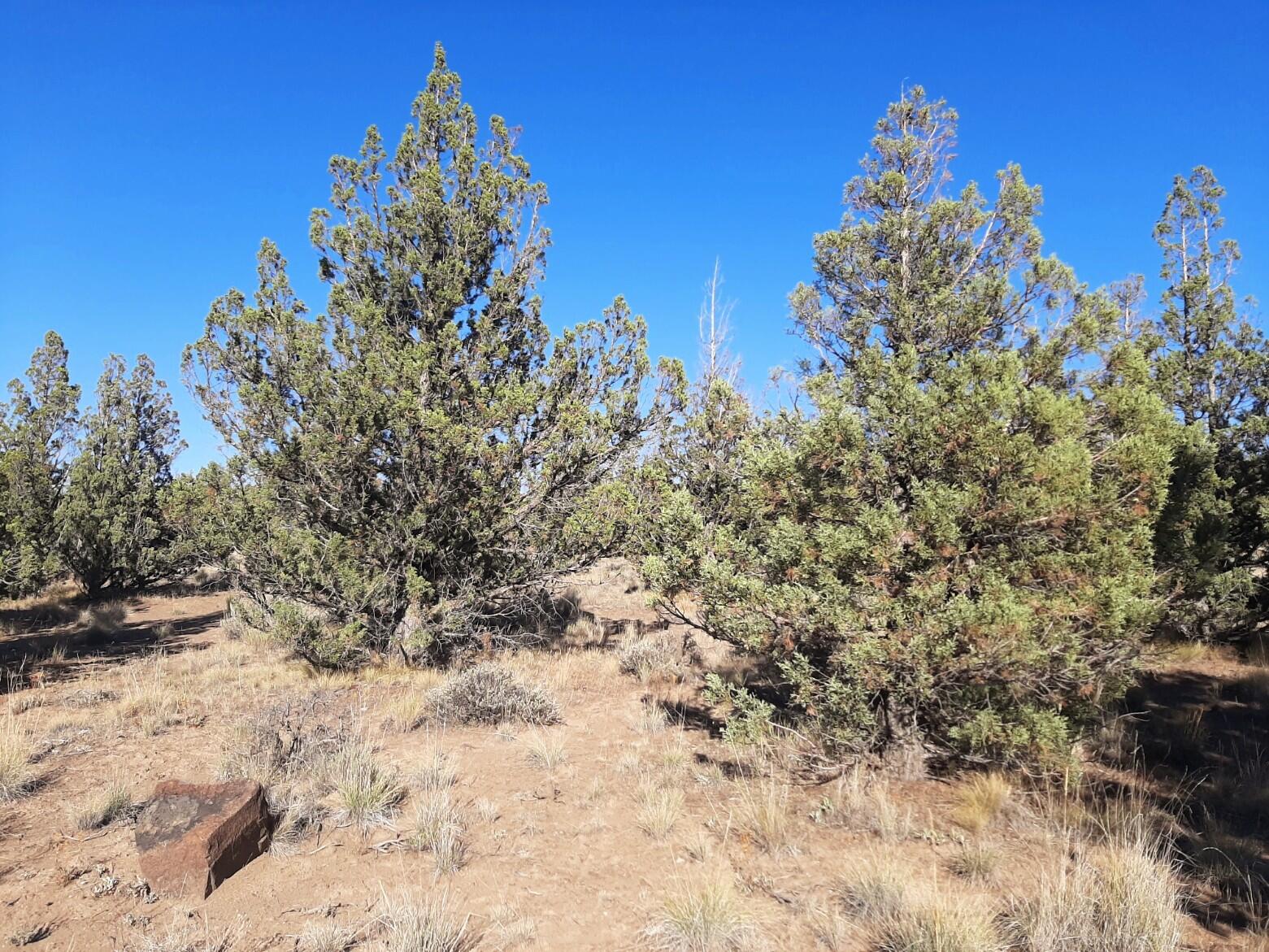 Prineville Lake Acres 2 - Land