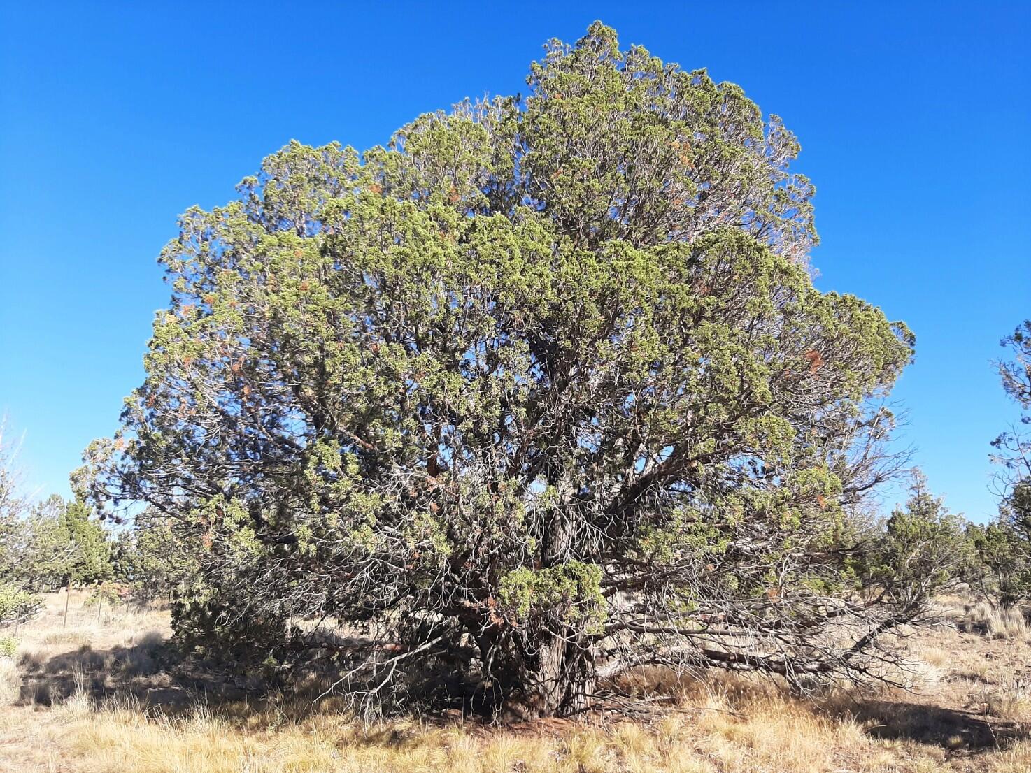 Prineville Lake Acres 2 - Land