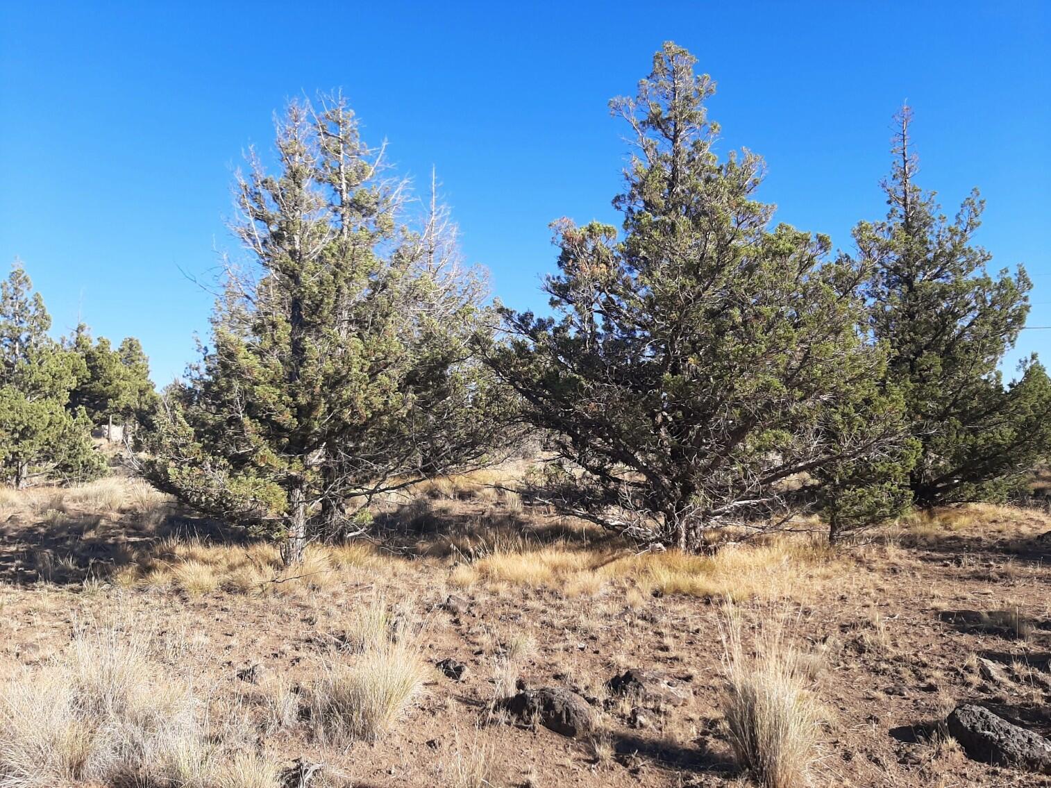 Prineville Lake Acres 2 - Land