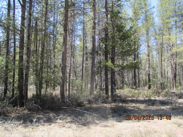 Mt. Scott Meadow - Land