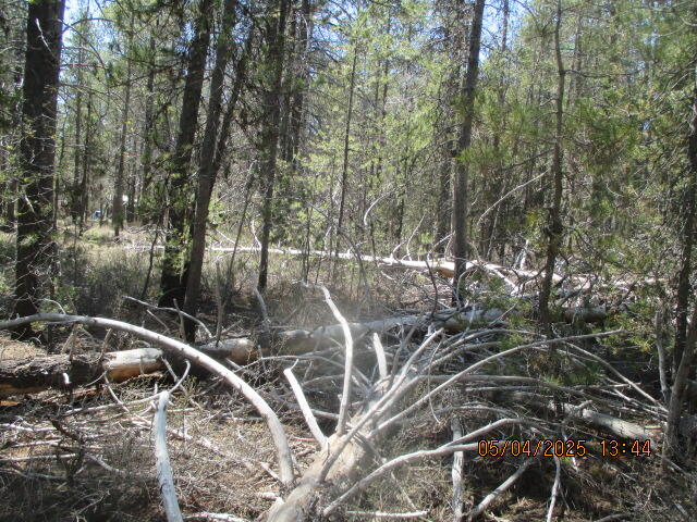 Mt. Scott Meadow - Land