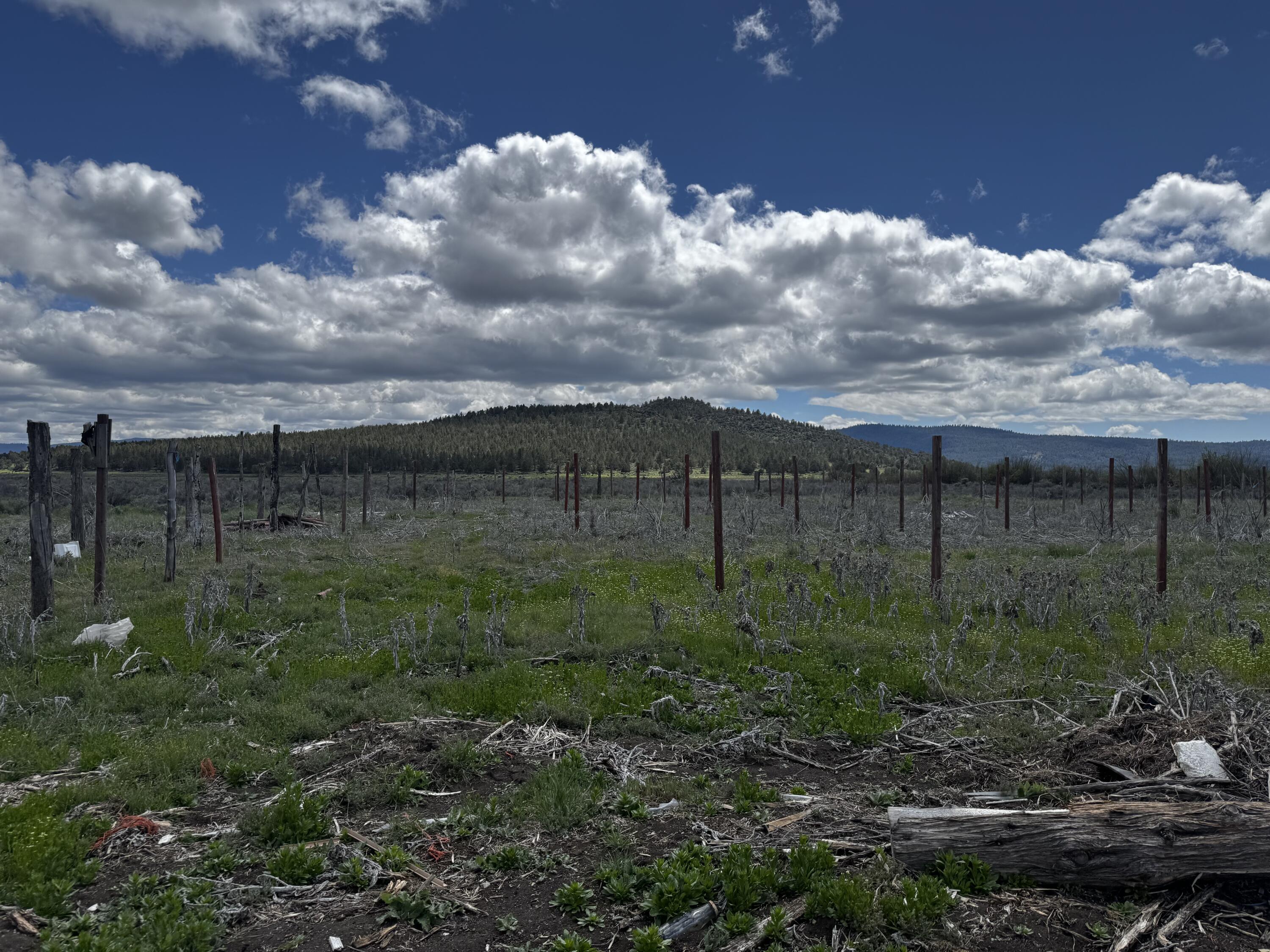 Nimrod River Park - Residential