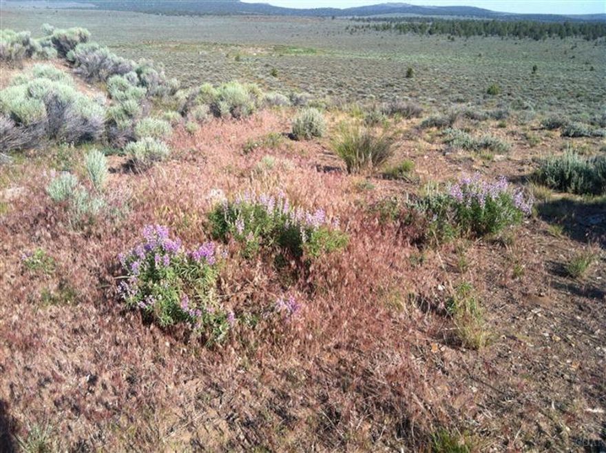 319 acres of range land, has a well, septic installed. With power on property. Build your home or manufactured home ok. Adjacent to BLM. Has a gazebo plus full RV hook up. Pump house with room for storage. Pond dug out needs lined. Some water lines installed for watering small area with timer. Fantastic views, wildlife. Mostly fenced. County maintained Roads. Good Cell Service.