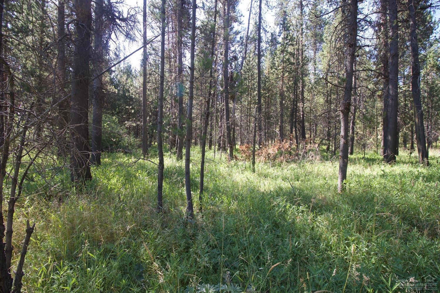 Deschutes River Trac - Land