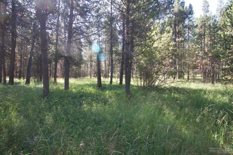 This is a great opportunity to own up to three lots adjacent to one another and enjoy yourself with family and friends in central Oregon. Property will not support a septic system. There is a park with river access in the subdivision for owners to enjoy.