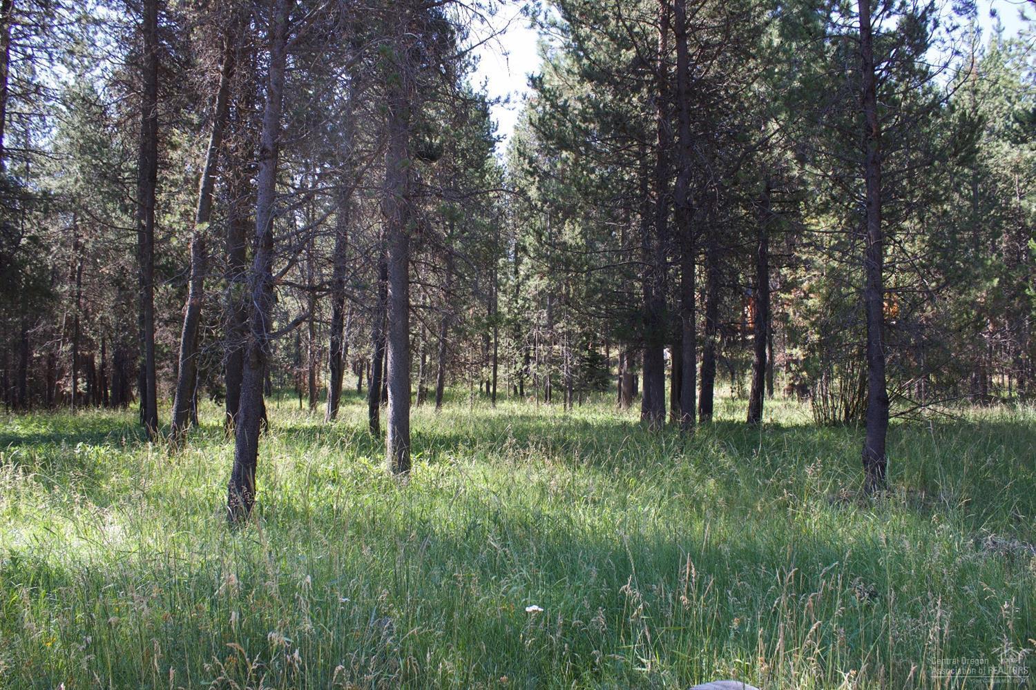 Deschutes River Trac - Land