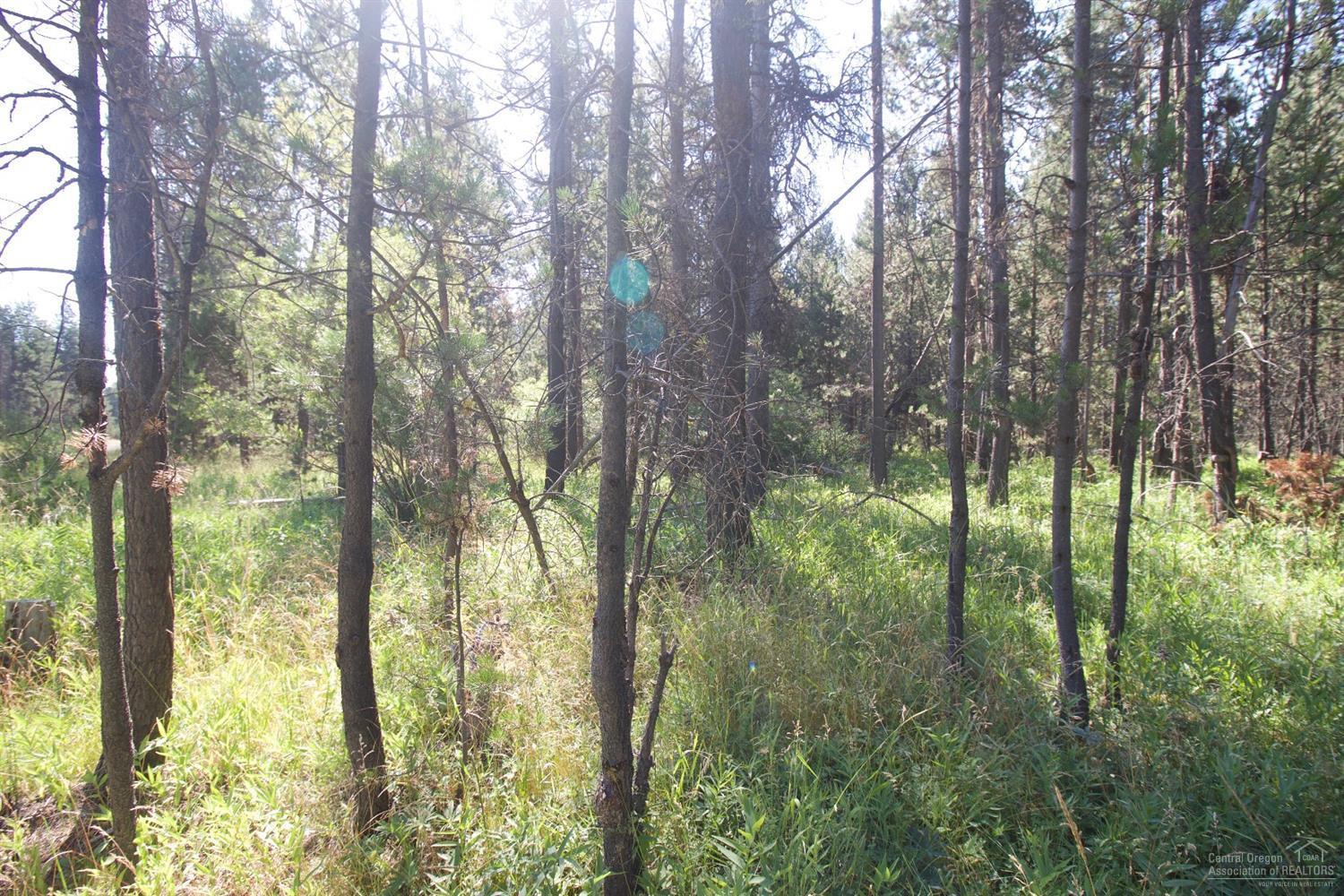 Deschutes River Trac - Land