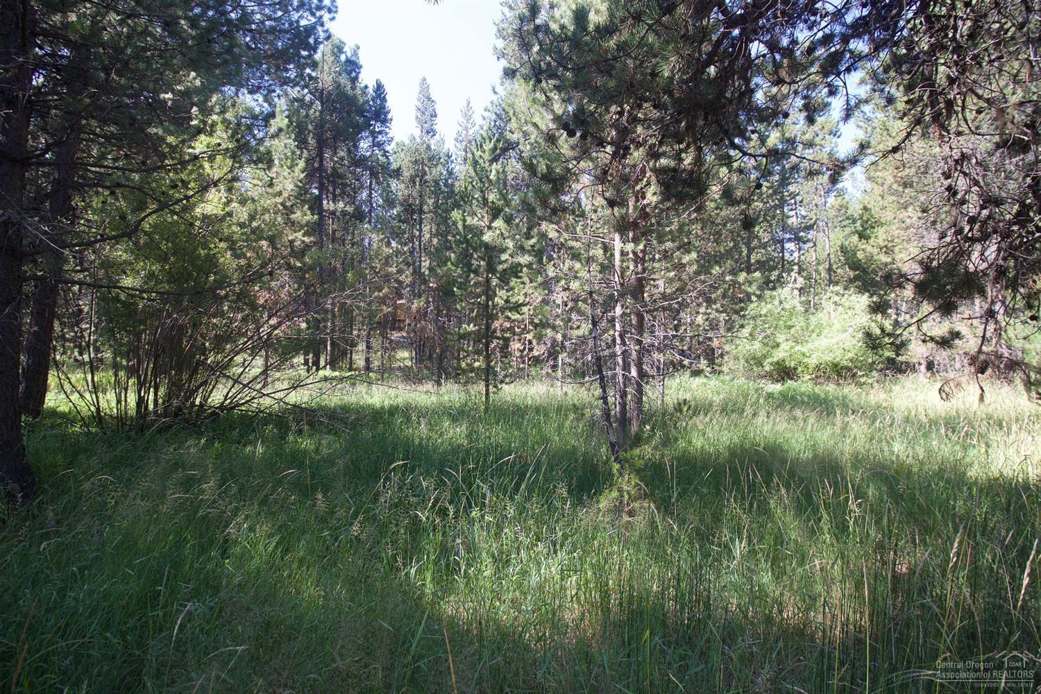 Deschutes River Trac - Land