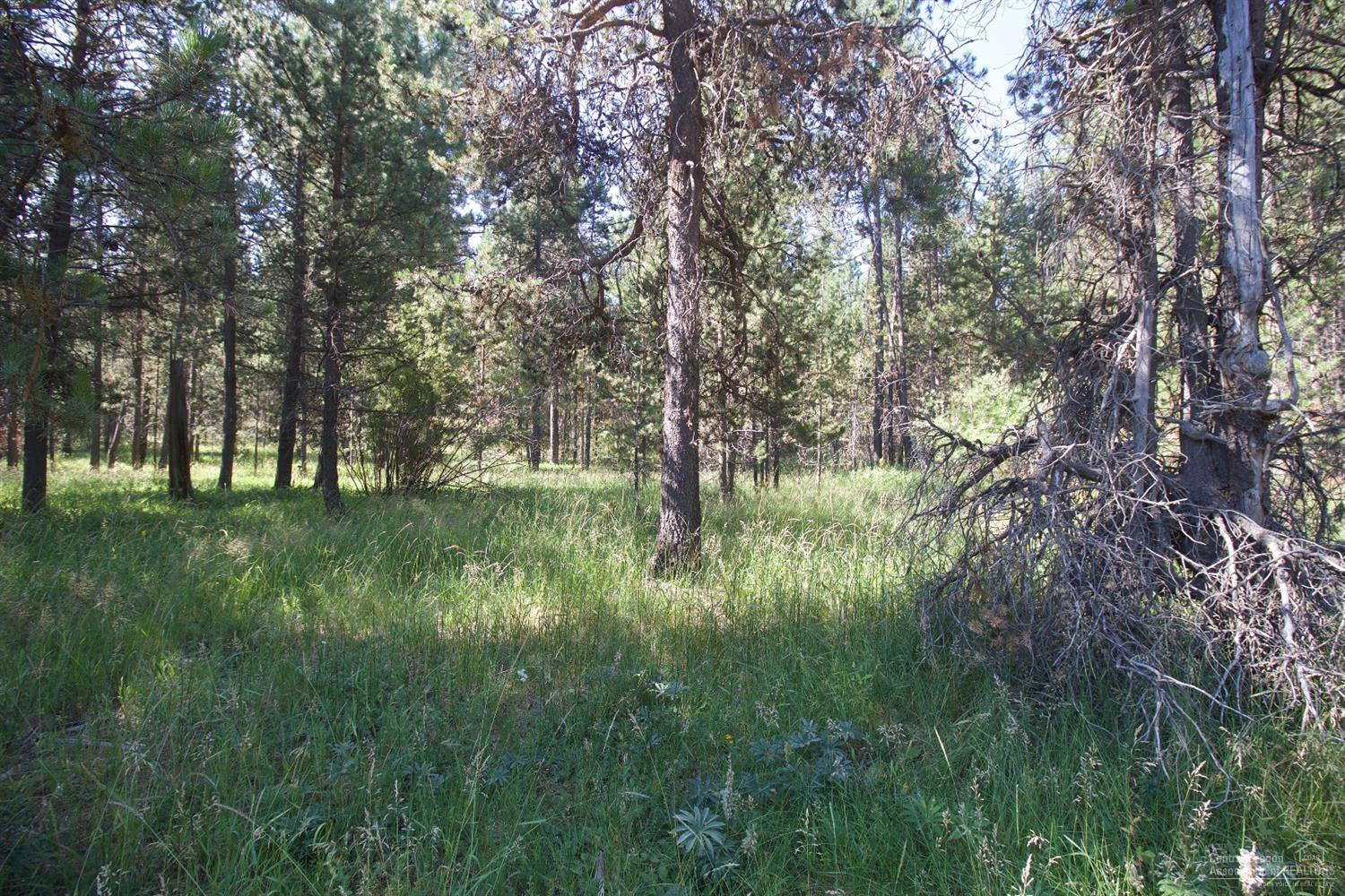 Deschutes River Trac - Land