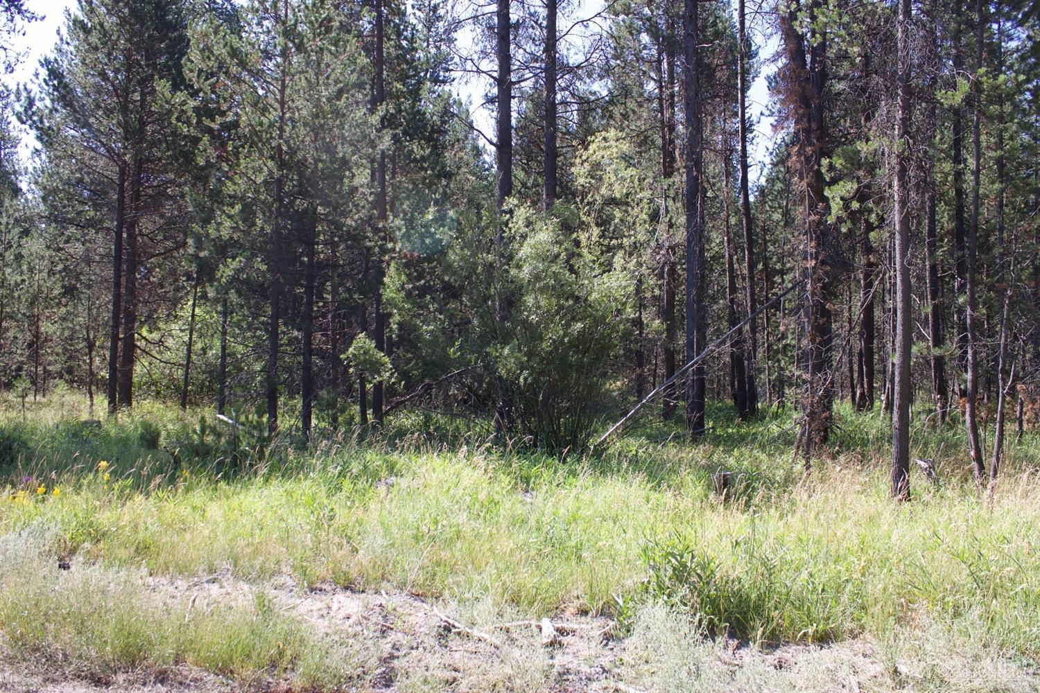 Deschutes River Trac - Land