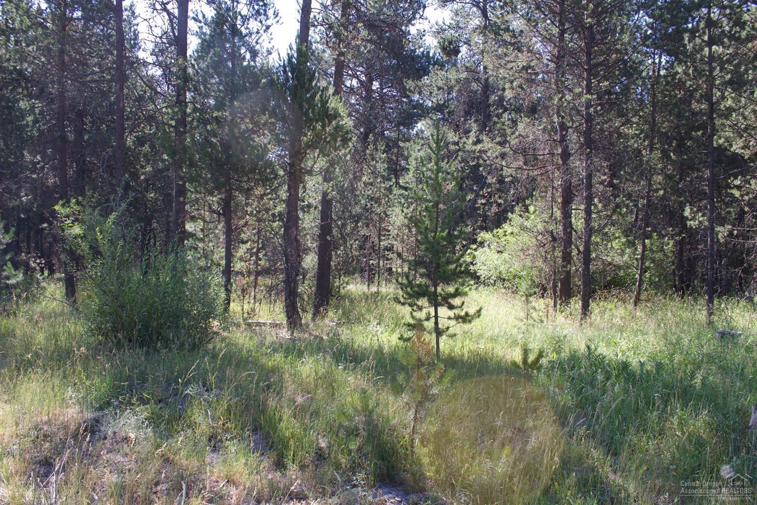 Deschutes River Trac - Land