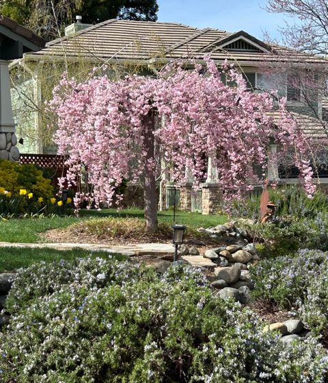 Tiny photo for 1120 Barrington Circle, Ashland, OR 97520 (MLS # 220217237)