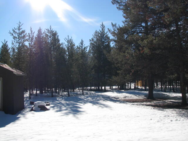 Tall Pines - Residential